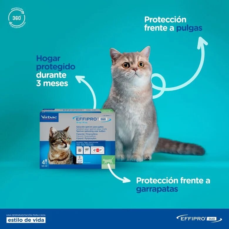 Virbac Effipro Duo Pipetas Antiparasitárias para gatos,  Imagem número 2 Virbac Effipro Duo Pipetas Antiparasitárias para gatos, , large Imagem número 2