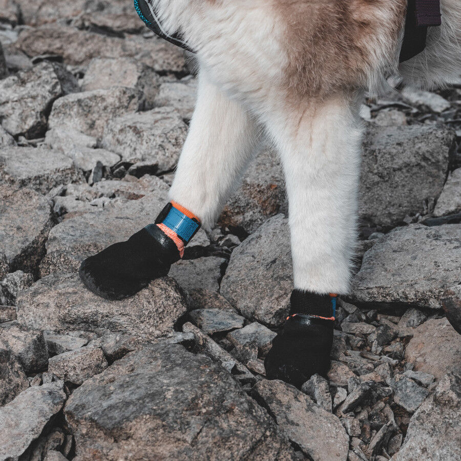 Non-stop dogwear Bota protetora preta e laranja para c&atilde;es, , large Imagem n&uacute;mero 7