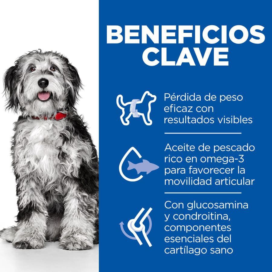 Hill's Science Plan Perfect Weight e Active Mobility Medium Frango ra&ccedil;&atilde;o para c&atilde;es, , large Imagem n&uacute;mero 4