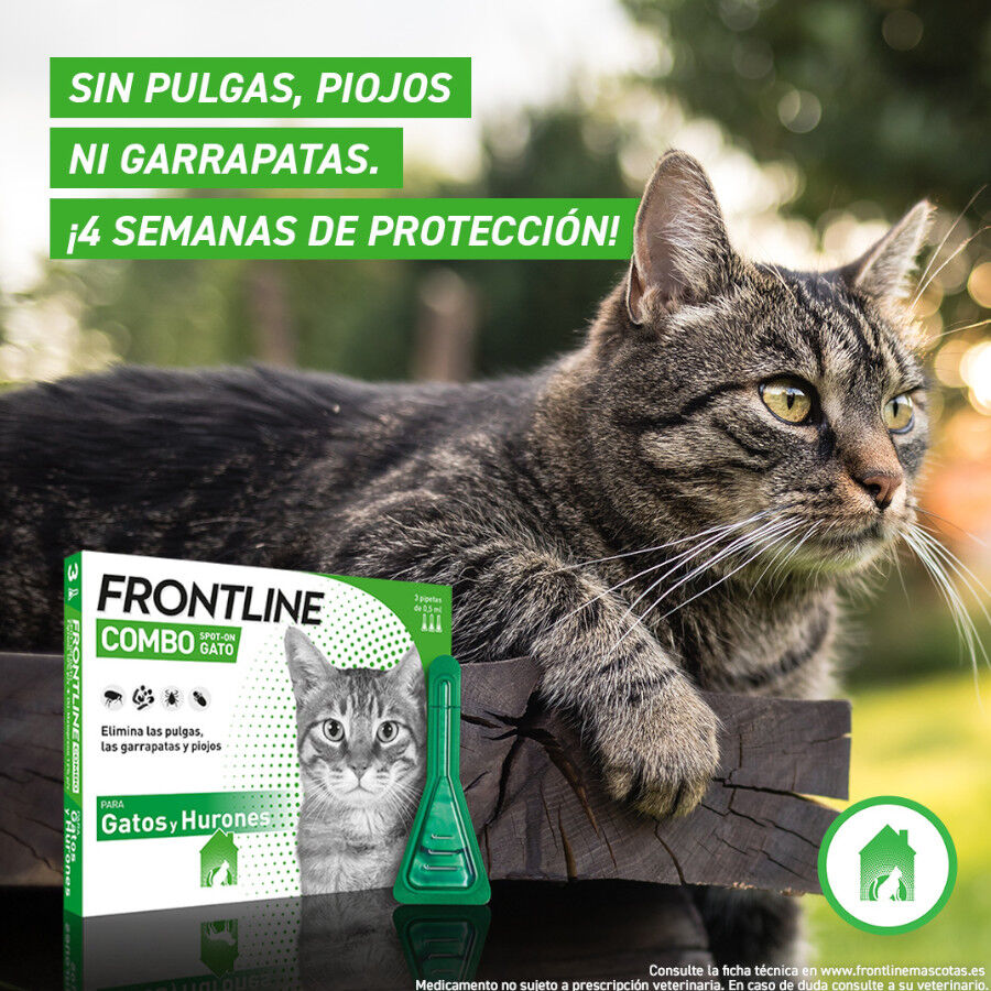 Frontline Combo pipetas antiparasit&aacute;rias para gatos e fur&otilde;es, , large Imagem n&uacute;mero 4