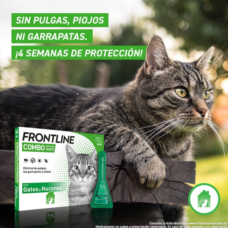 Frontline Combo pipetas antiparasitárias para gatos e furões,  Imagem número 4 Frontline Combo pipetas antiparasitárias para gatos e furões, , large Imagem número 4
