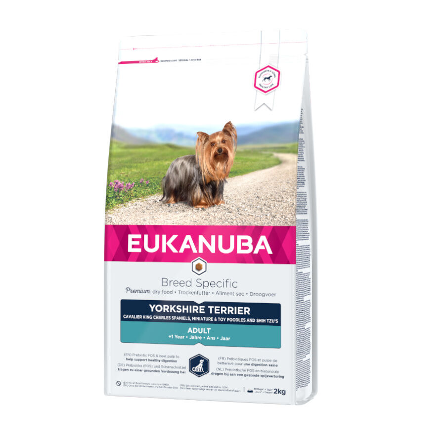 2 kg Eukanuba Adult Yorkshire Terrier ra&ccedil;&atilde;o para c&atilde;es, , large Imagem n&uacute;mero 1