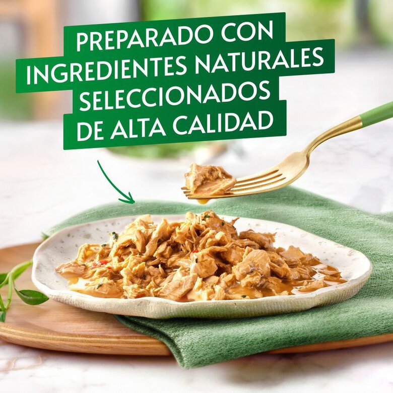 4 latas x 85 g Gourmet Nature’s Creations Mini Filetes de Pescado do Oceano e Atum em lata para gatos,  Imagem número 2 4 latas x 85 g Gourmet Nature’s Creations Mini Filetes de Pescado do Oceano e Atum em lata para gatos, , large Imagem número 2