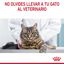 85 g Royal Canin Hairball alimento húmido em molho saquetas para gatos, , large Indicador imagem número 9