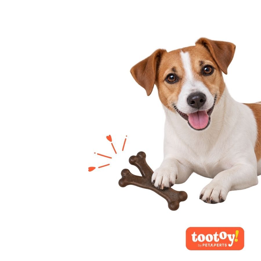 Tootoy! Chew Mordedor Osso com Sabor a Bacon para c&atilde;es, , large Imagem n&uacute;mero 7