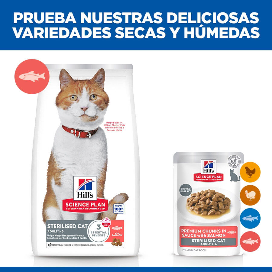 85 g Hill's Science Plan Sterilized Young Adult Salm&atilde;o saquetas para gatos, , large Imagem n&uacute;mero 6