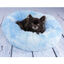 Flamingo Demi Redonda Azul cama para cães e gatos, , large Indicador imagem número 3