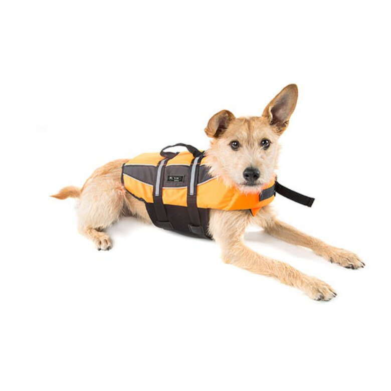 TK-Pet Pyrenees Colete salva-vidas laranja para cães, , large image number null