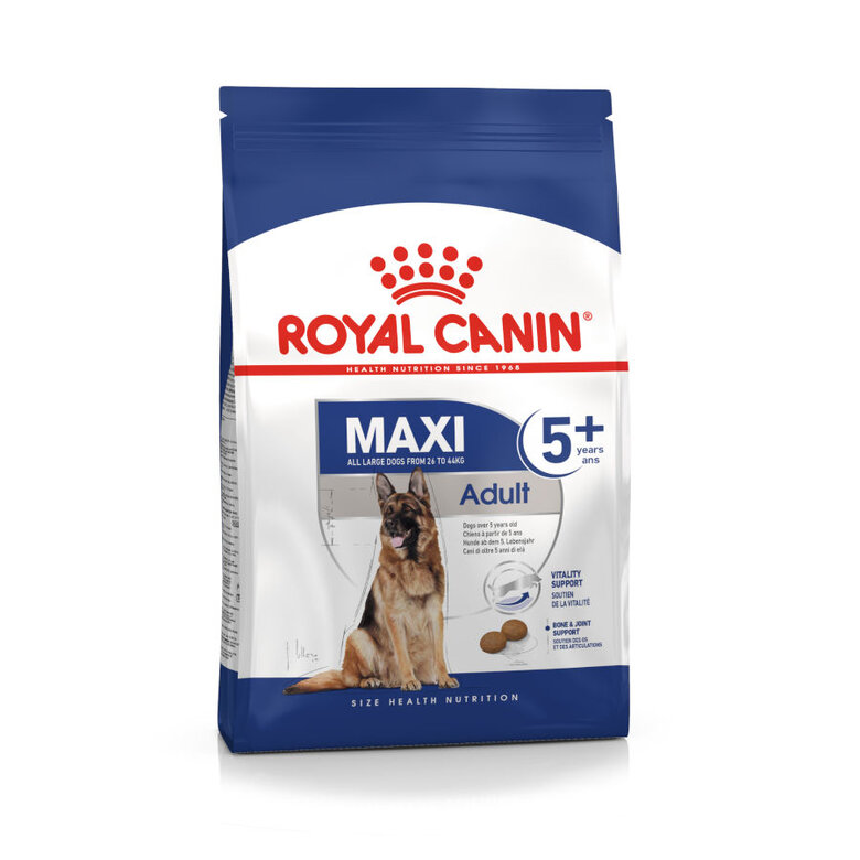Royal Canin Maxi Adult 5+ ração para cães seniores de raça grande, , large image number null