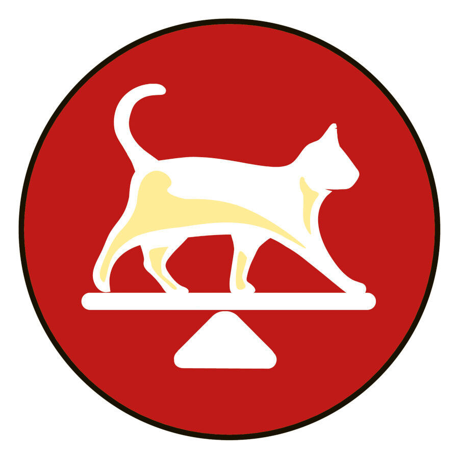 400 g Purina Friskies Adult carne de boi e f&iacute;gado lata para gatos , , large Imagem n&uacute;mero 9