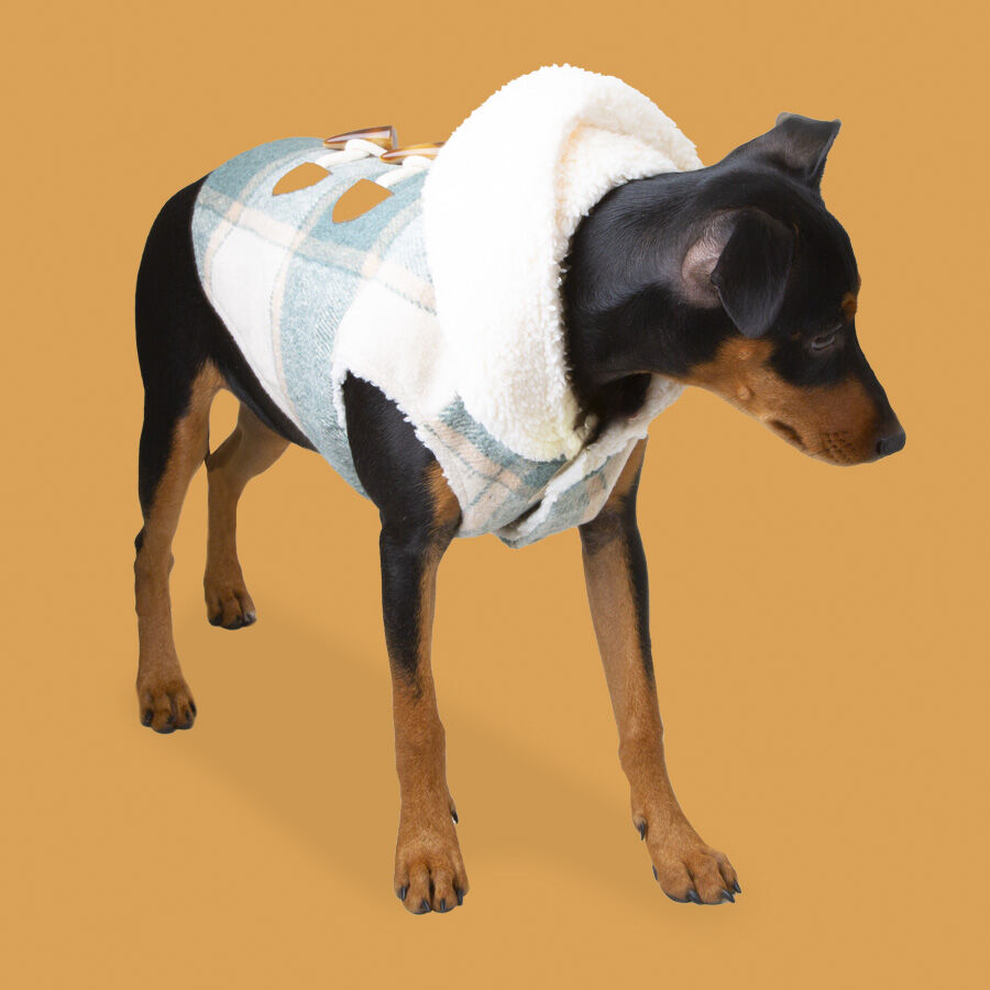 Outech Casaco Xadrez para c&atilde;es, , large Imagem n&uacute;mero 2