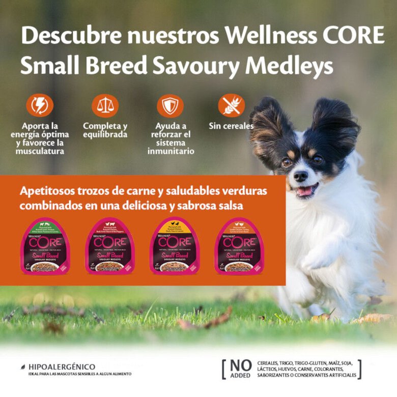 85 g Wellness Core Small Breed Grain Free Frango e Terneira terrina para cães,  Imagem número 3 85 g Wellness Core Small Breed Grain Free Frango e Terneira terrina para cães, , large Imagem número 3