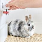 Beaphar RabbitComfort Difusor e recarga para coelhos, , large image number null
