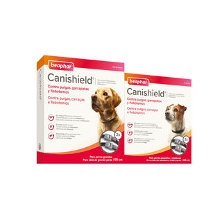 Beaphar Canishield Coleira Antipulgas para cães