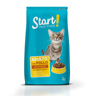 Start Adulto Frango e Legumes ração para gatos