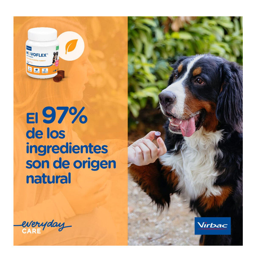 Virbac Movoflex Condroprotetor para c&atilde;es de porte m&eacute;dio, , large Imagem n&uacute;mero 3