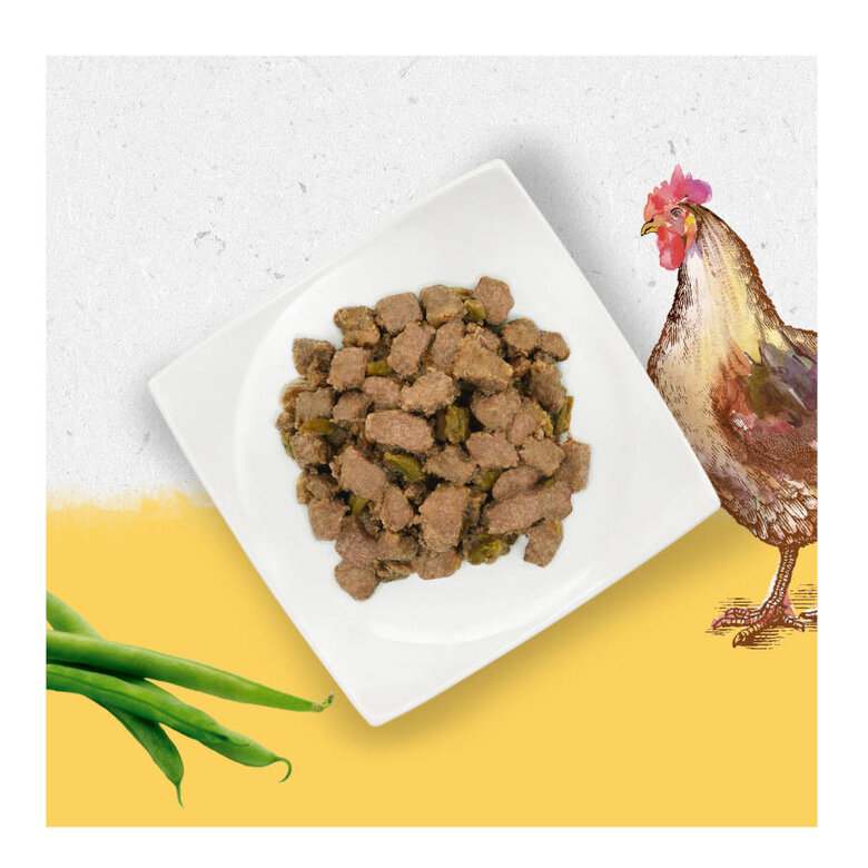 400 g Beyond Grain Free Lata vários Sabores,  Imagem número 3 400 g Beyond Grain Free Lata vários Sabores, , large Imagem número 3