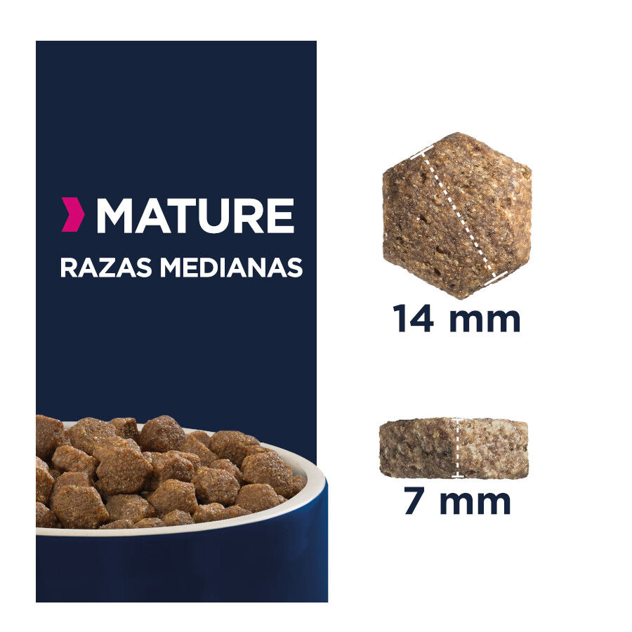 12 kg Eukanuba Mature&Senior Medium Ra&ccedil;&atilde;o para c&atilde;es, , large Imagem n&uacute;mero 2