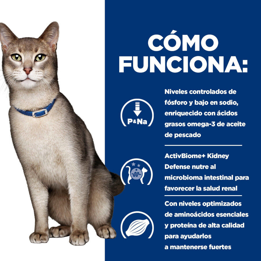 3 kg Hill's Prescription Diet kidney Care k/d Ra&ccedil;&atilde;o de salm&atilde;o para gato, , large Imagem n&uacute;mero 10