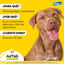 AdTab Comprimidos mastigáveis antiparasitários para cães, , large Indicador imagem número 7