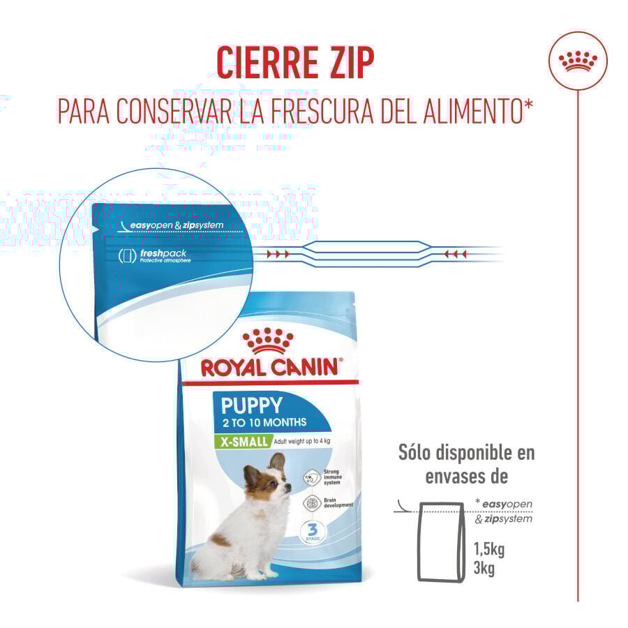 3 kg Royal Canin X-Small Puppy ra&ccedil;&atilde;o para c&atilde;es, , large Imagem n&uacute;mero 11