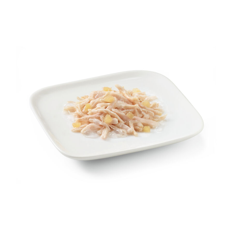 150 g Schesir Adult Frango com Ma&ccedil;&atilde; lata para c&atilde;es, , large Imagem n&uacute;mero 2