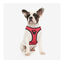 Disney Minnie Mouse Peitoral para cães, , large Indicador imagem número 2