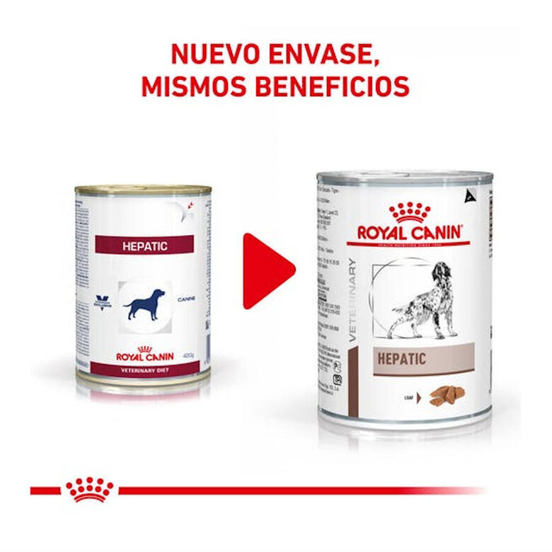 Royal Canin Veterinary Diet Hepatic lata para cães, , large image number null