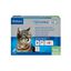 Virbac Effipro Duo Pipetas Antiparasitárias para gatos, , large Indicador imagem número 1