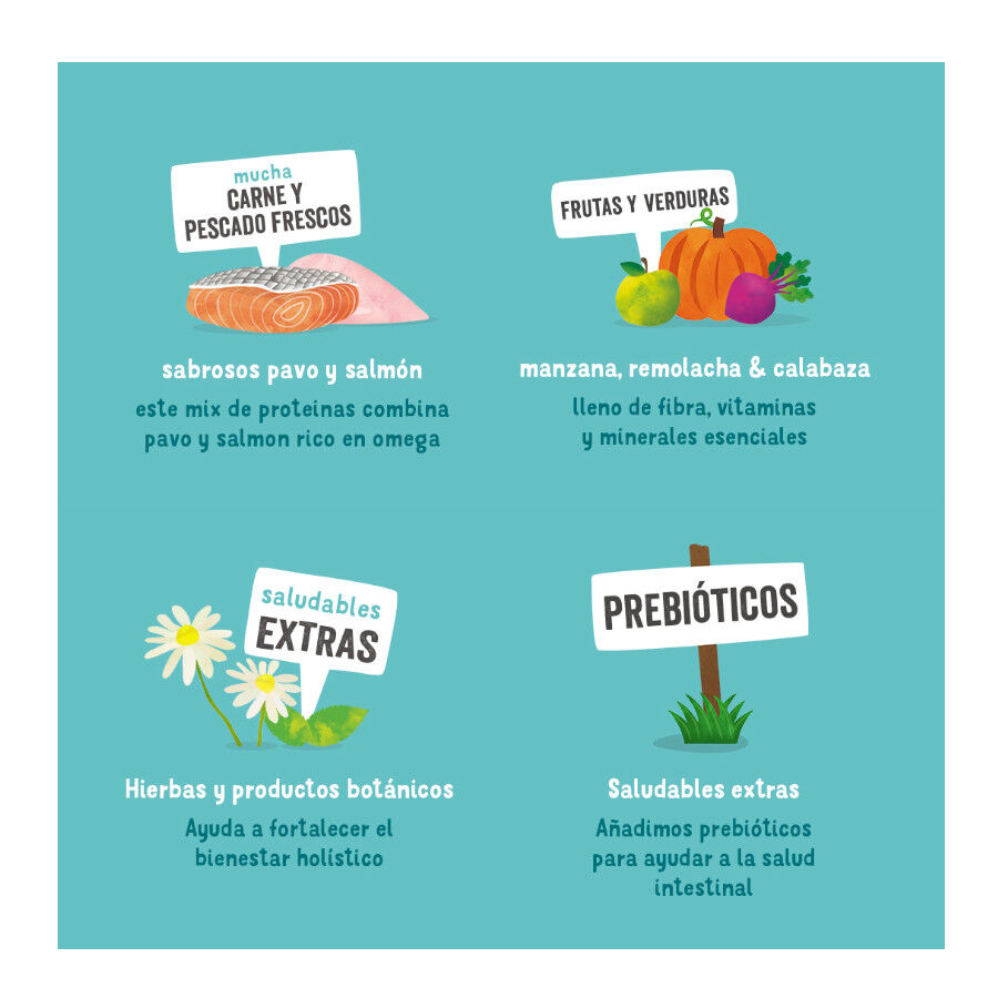 150 g Edgard y Cooper Peru Terrinas comida h&uacute;mida, , large Imagem n&uacute;mero 3