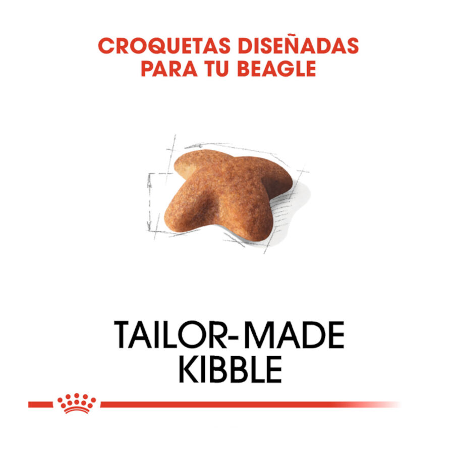 12 kg Royal Canin Adult Beagle ra&ccedil;&atilde;o para c&atilde;es, , large Imagem n&uacute;mero 5