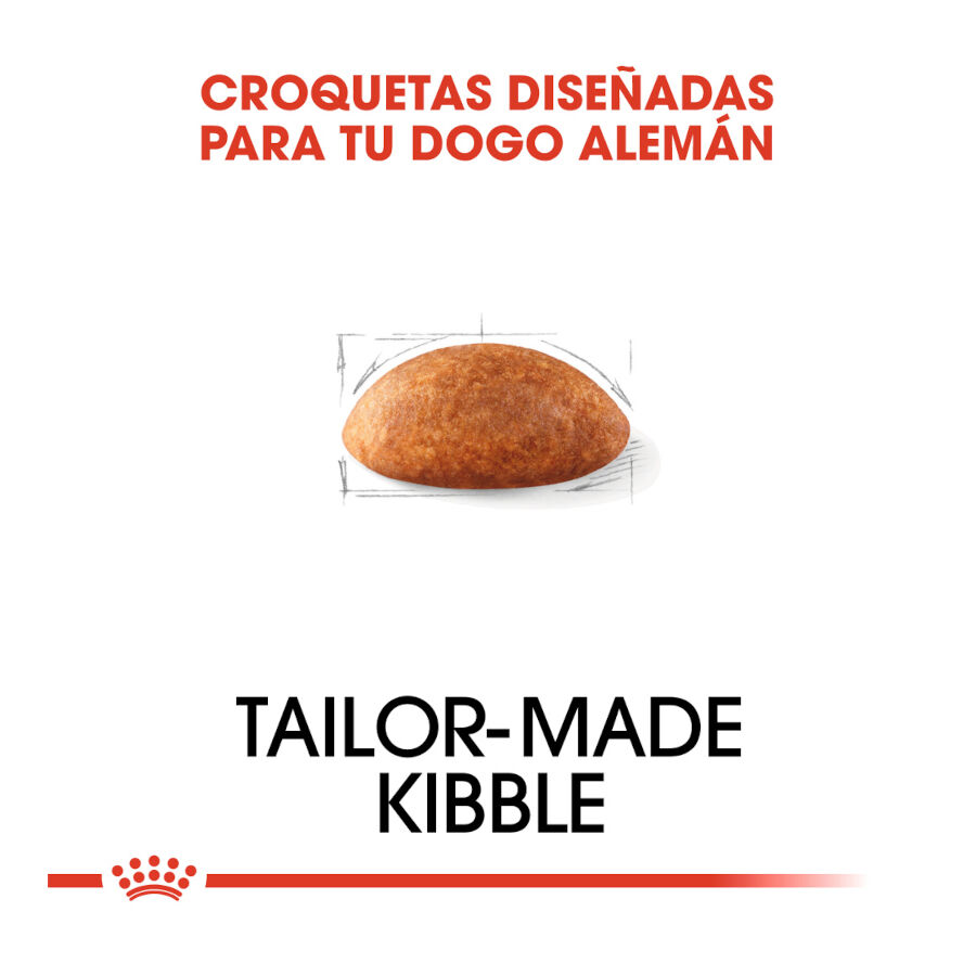 12 kg Royal Canin Adult Dogue Alem&atilde;o ra&ccedil;&atilde;o para c&atilde;es, , large Imagem n&uacute;mero 5
