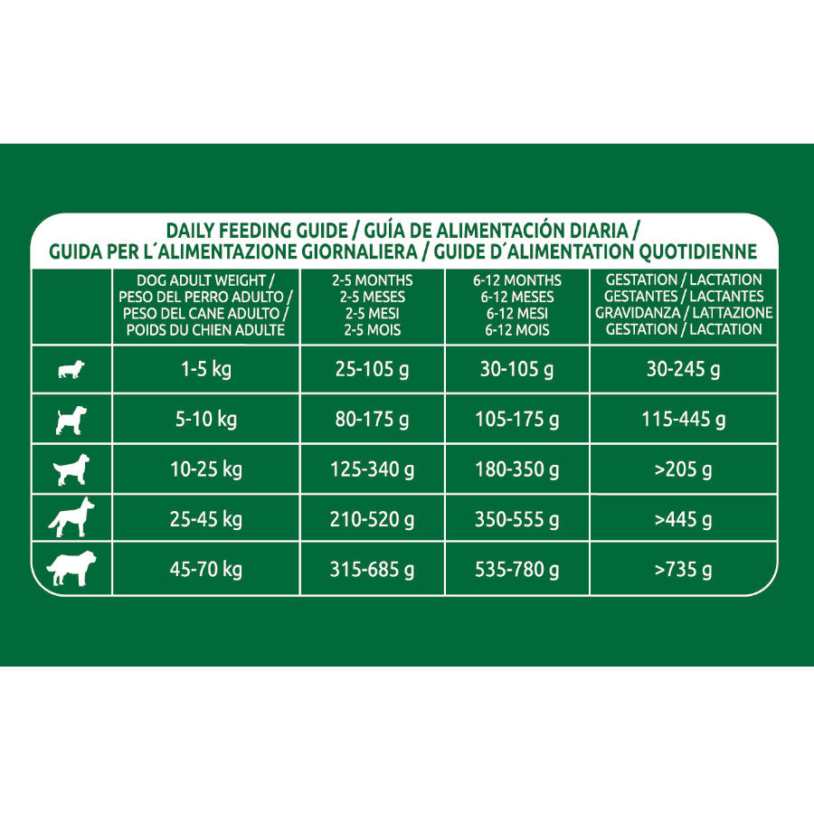 12 kg Affinity Libra Puppy Frango ra&ccedil;&atilde;o para c&atilde;es, , large Imagem n&uacute;mero 4