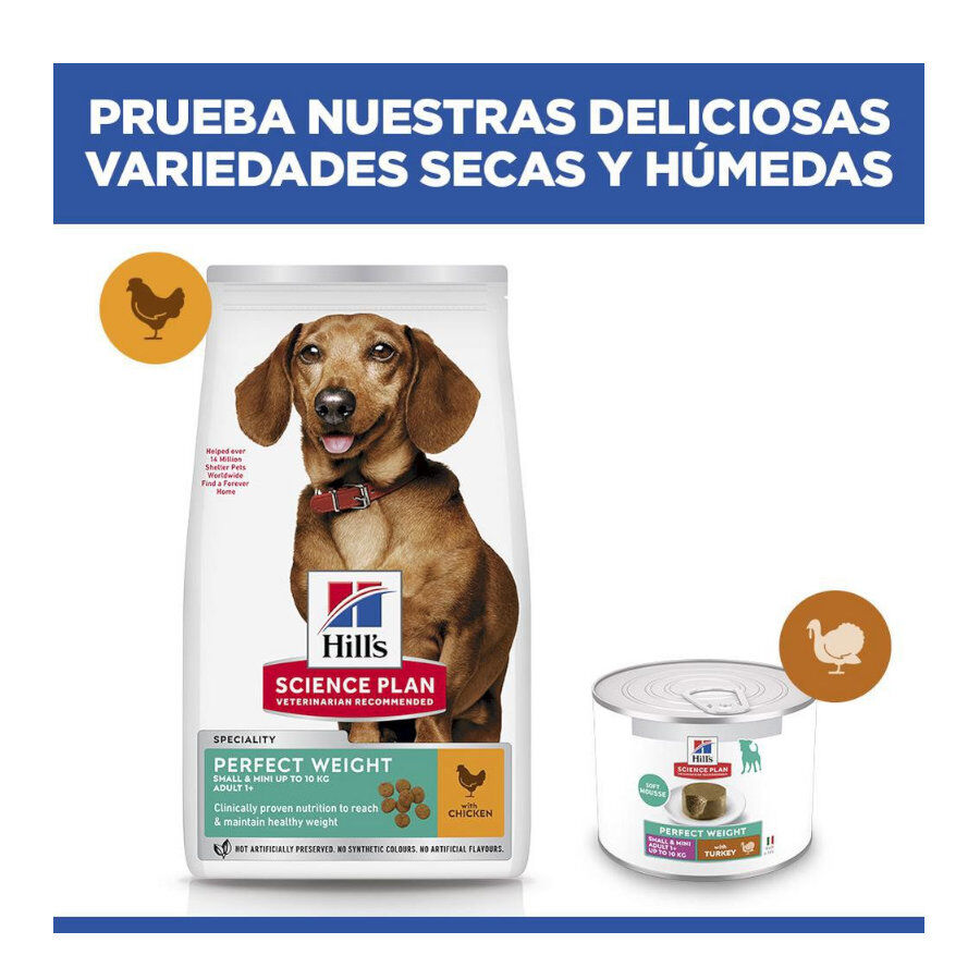 6 kg Hill's Science Plan Perfect Weight Adult Small & Mini Ra&ccedil;&atilde;o para c&atilde;es, , large Imagem n&uacute;mero 8