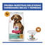 6 kg Hill's Science Plan Perfect Weight Adult Small & Mini Ra&ccedil;&atilde;o para c&atilde;es, , large Indicador imagem n&uacute;mero 8
