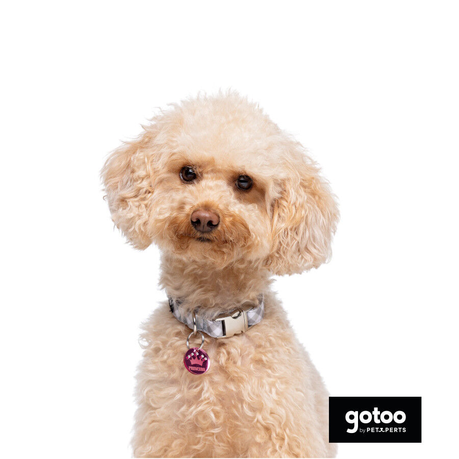 Gotoo Coleira estampada xadrez para c&atilde;es, , large Imagem n&uacute;mero 3