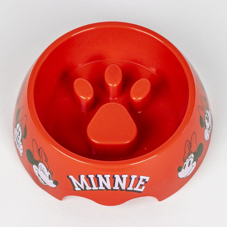 Disney Minnie Mouse Conjunto de presente de boas-vindas para cães, , large image number null