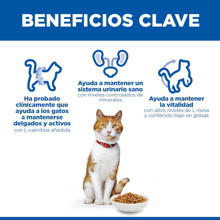 7 kg Hill's Young Adult Science Plan Sterilised Pato ra&ccedil;&atilde;o para gatos, , large Imagem n&uacute;mero 5