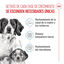 1 kg Royal Canin Medium Starter Mother&Baby ração para cães, , large Indicador imagem número 3