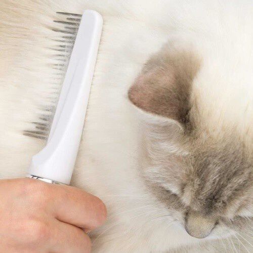 Catit Grooming Kit de cuidado para gatos de pelo longo, , large Imagem n&uacute;mero 3
