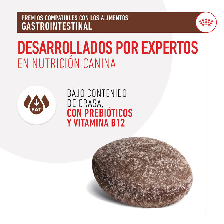 230 g Royal Canin Treats Gastrointestinal Snacks para cães,  Imagem número 6 230 g Royal Canin Treats Gastrointestinal Snacks para cães, , large Imagem número 6