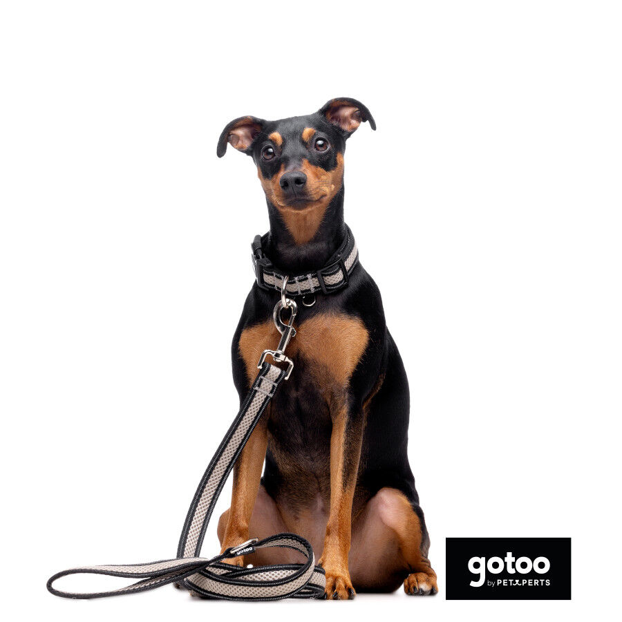 Gotoo Trela mesh cinza refletora para c&atilde;es, , large Imagem n&uacute;mero 3