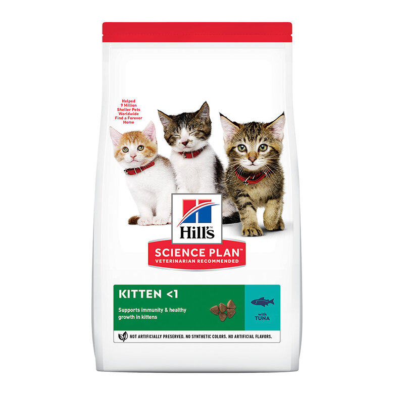 Hill's Kitten Science Plan Atum ração , , large image number null
