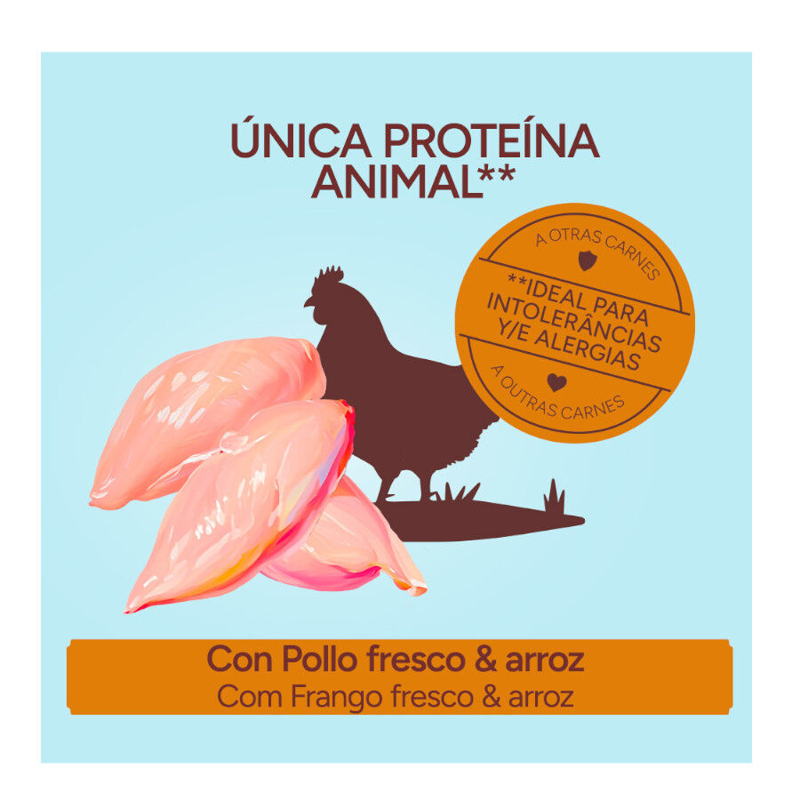 2 x 10 kg Criadores Monoproteico Light -40% conte&uacute;do gordo Adulto com Frango Ra&ccedil;&atilde;o para C&atilde;es, , large Imagem n&uacute;mero 3