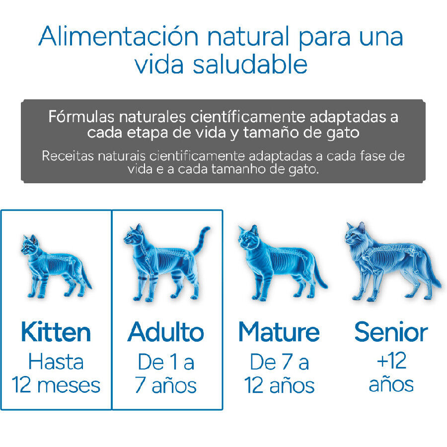 Criadores Cient&iacute;fico Mother&BabyCat Ra&ccedil;&atilde;o de frango para gatos, , large Imagem n&uacute;mero 12
