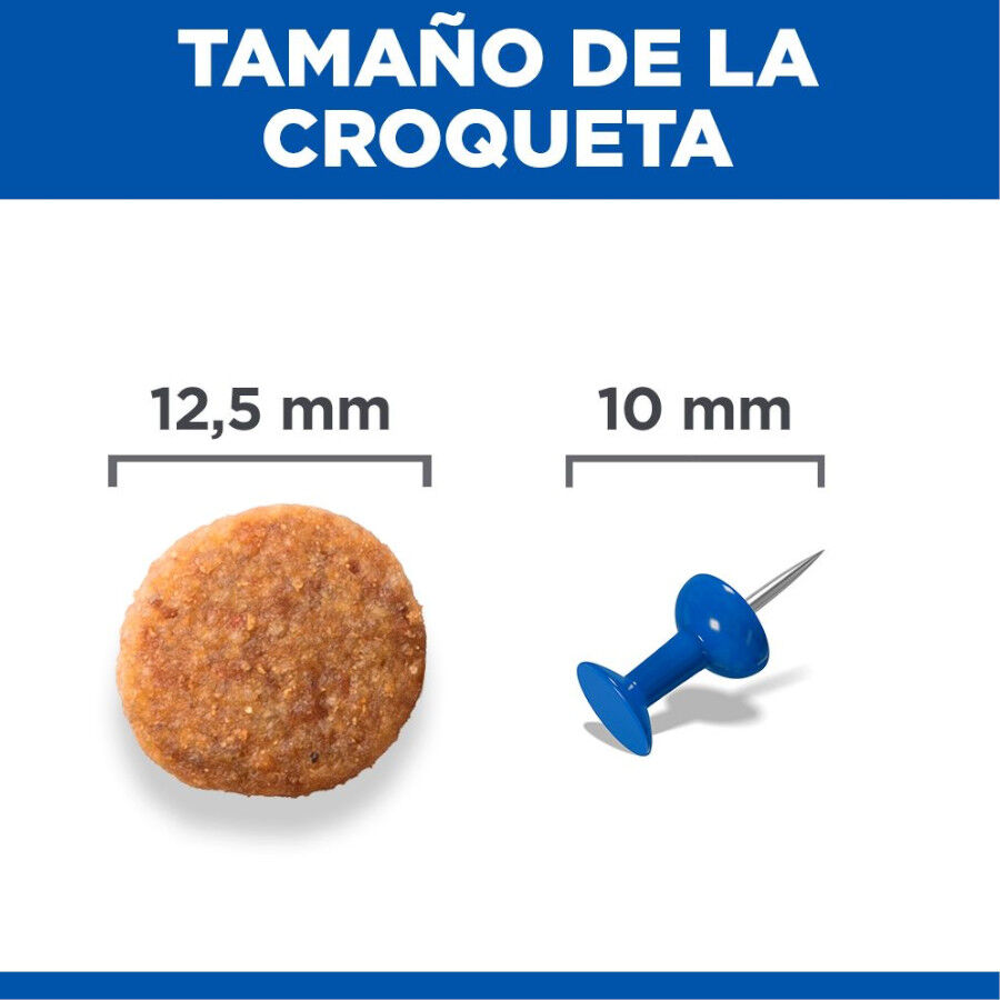 Hill's Medium Adult Science Plan Youthful Vitality Frango ra&ccedil;&atilde;o para c&atilde;es, , large Imagem n&uacute;mero 4