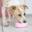 Kong Puppy Tire brinquedo para cachorros, , large Indicador imagem número 2