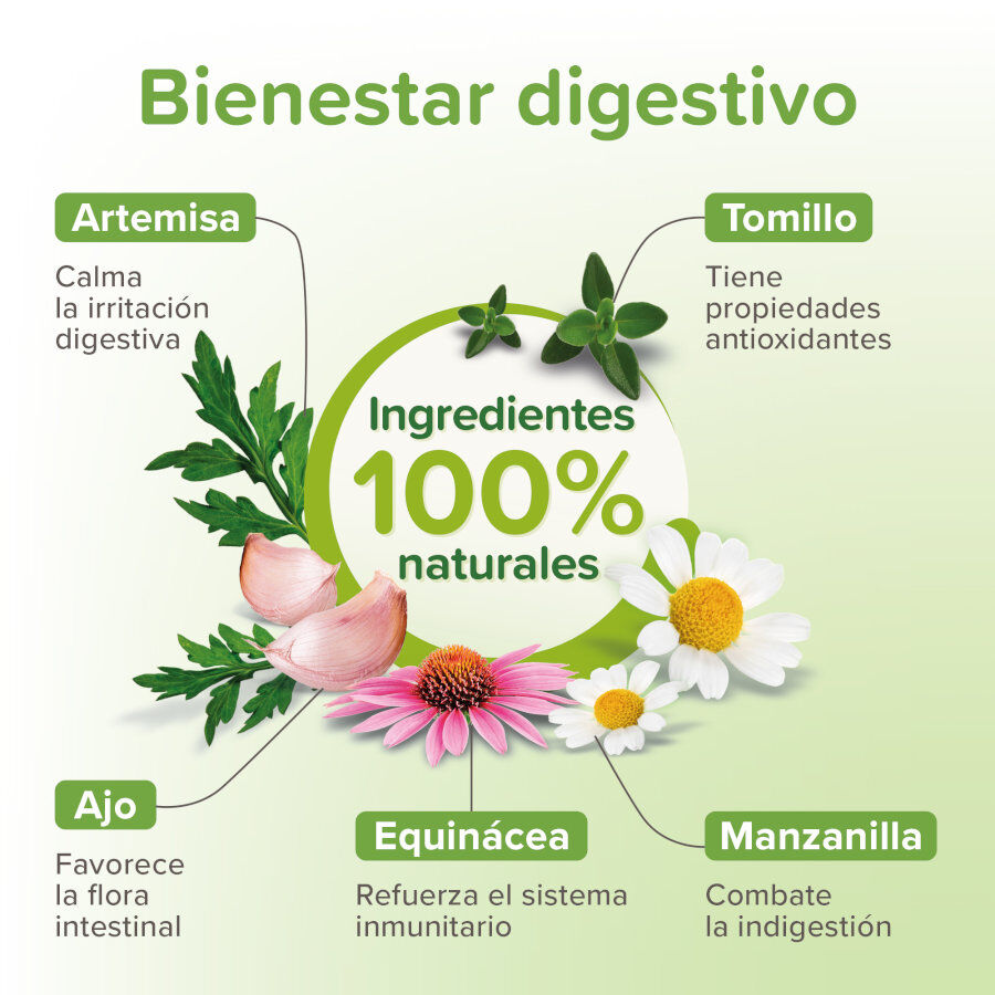 Beaphar Vermipure Repelente Interno Natural em comprimidos para c&atilde;es de porte m&eacute;dio e grande, , large Imagem n&uacute;mero 3