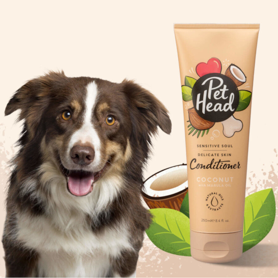 Pet Head Condicionador coco para peles sens&iacute;veis para c&atilde;es 300ml, , large Imagem n&uacute;mero 2
