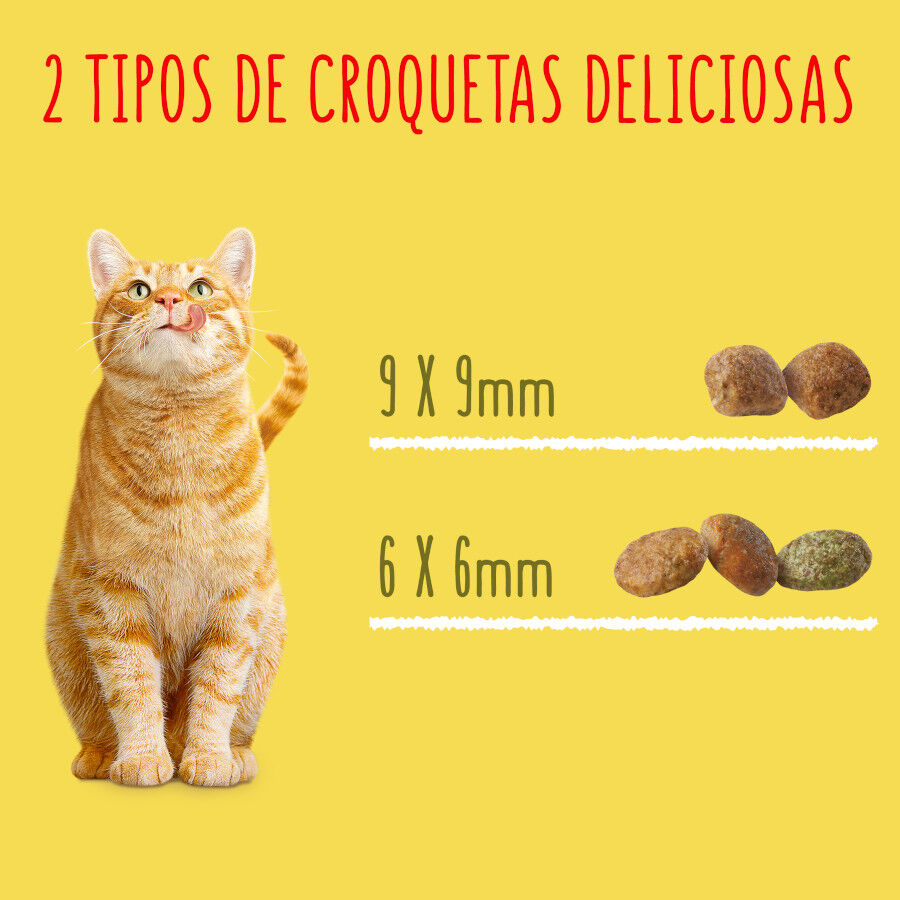 3 kg Friskies peru e legumes para Gatos Esterilizados, , large Imagem n&uacute;mero 8